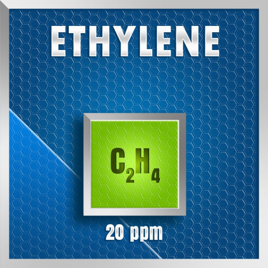 Gasco Bump Test 62A-20: Ethylene (C2H4) Calibration Gas – 20 PPM 1