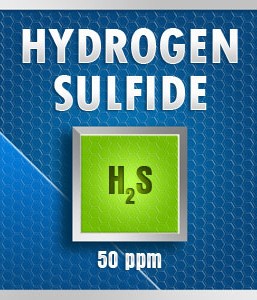 Gasco Bump Test 99-50: Hydrogen Sulfide (H2S) Calibration Gas – 50 PPM