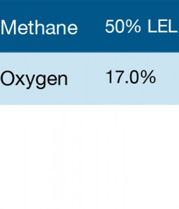 Gasco 303 Multi-Gas Mix: 50% LEL Methane, 17% Oxygen, Balance Nitrogen