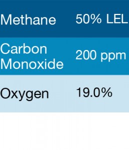 Bump Test Gas: Gasco 309 Multi-Gas Mix: 200 PPM Carbon Monoxide, 50% LEL Methane, 19% Oxygen, Balance Nitrogen