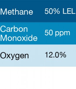 Bump Test Gas: Gasco 318 Multi-Gas Mix: 50 PPM Carbon Monoxide, 50% LEL Methane, 12.0% Oxygen, Balance Nitrogen