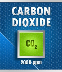 Gasco 34-2000: Carbon Dioxide (CO2) Calibration Gas – 2000 PPM