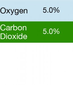 Gasco 340 Multi-Gas Mix: 5.0% Carbon Dioxide, 5.0% Oxygen, Balance Nitrogen