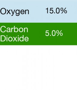 Gasco 341 Multi-Gas Mix: 5.0% Carbon Dioxide, 15.0% Oxygen, Balance Nitrogen