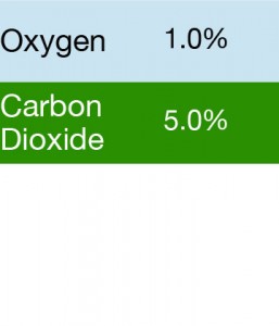 Bump Test Gas: Gasco 342 Multi-Gas Mix: 5.0% Carbon Dioxide, 1.0% Oxygen, Balance Nitrogen