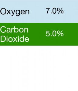 Gasco 343 Multi-Gas Mix: 5.0% Carbon Dioxide, 7.0% Oxygen, Balance Nitrogen