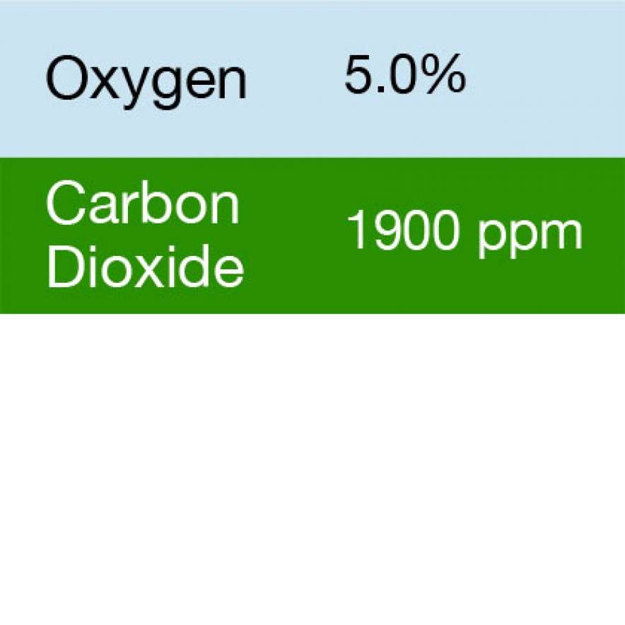 Bump Test Gas: Gasco 352 Multi-Gas Mix: 1900 PPM Carbon Dioxide, 5
