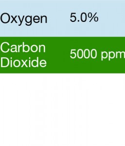 Bump Test Gas: Gasco 353 Multi-Gas Mix: 5000 PPM Carbon Dioxide, 5.0% Oxygen, Balance Nitrogen