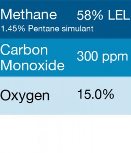 Bump Test Gas: Gasco 355 Multi-Gas Mix: 300 PPM Carbon Monoxide, 1.45% = (58% LEL) Pentane simulant, 15% Oxygen, Balance Nitrogen
