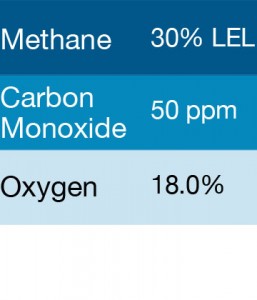 Gasco 360 Multi-Gas Mix: 50 PPM Carbon Monoxide, 30% LEL Methane, 18.0% Oxygen, Balance Nitrogen