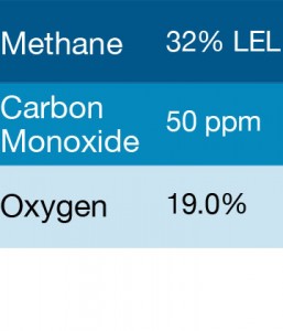 Gasco 360B Multi-Gas Mix: 50 PPM Carbon Monoxide, 32% LEL Methane, 19.0% Oxygen, Balance Nitrogen