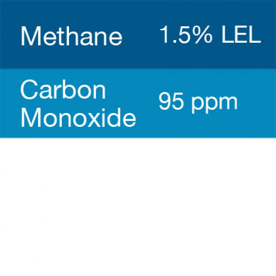 Gasco 362 Multi-Gas Mix: 95 PPM Carbon Monoxide, 1
