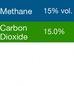 Bump Test Gas: Gasco 368 Multi-Gas Mix: 15% Volume Methane, 15.0% Carbon Dioxide, Balance Nitrogen