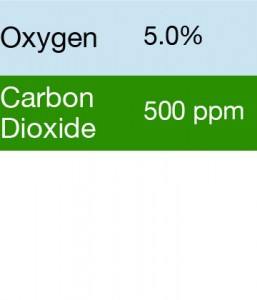Gasco 373 Multi-Gas Mix: 500 PPM Carbon Dioxide, 5.0% Oxygen, Balance Nitrogen