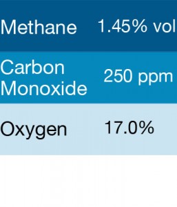Gasco 377 Multi-Gas Mix: 250 PPM Carbon Monoxide, 1.45% Volume Methane, 17.0% Oxygen, Balance Nitrogen