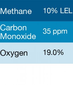 Gasco 386 Multi-Gas Mix: 35 PPM Carbon Monoxide, 10% LEL Methane, 19.0 Oxygen, Balance Nitrogen