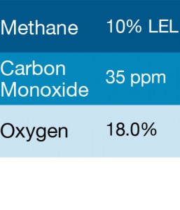 Gasco 390 Multi-Gas Mix: 35 PPM Carbon Monoxide, 10% LEL Methane, 18.0% Oxygen, Balance Nitrogen