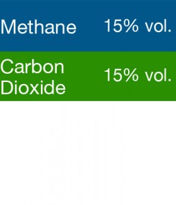 Gasco 399S Multi-Gas Mix: 15% Volume Methane, 15% Volume Carbon Dioxide, Balance Nitrogen