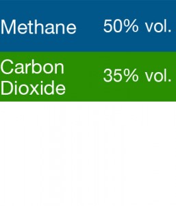Bump Test Gas: Gasco 399 Multi-Gas Mix: 50% Volume Methane, 35% Volume Carbon Dioxide, Balance Nitrogen