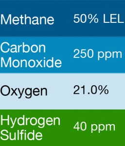 Gasco 401 Multi-Gas Mix: 250 PPM Carbon Monoxide, 50% LEL Methane, 21.0% Oxygen, 40 PPM Hydrogen Sulfide, Balance Nitrogen