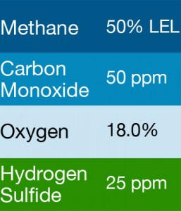 Bump Test Gas: Gasco 406 Multi-Gas Mix: 50 PPM Carbon Monoxide, 50% LEL Methane, 18.0% Oxygen, 25 PPM Hydrogen Sulfide, Balance Nitrogen