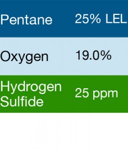 Bump Test Gas: Gasco 410 Multi-Gas Mix: 25% LEL Pentane, 19.0% Oxygen, 25 PPM Hydrogen Sulfide, Balance Nitrogen