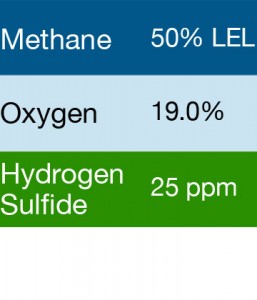 Bump Test Gas: Gasco 426 Multi-Gas Mix: 50% LEL Methane, 19.0% Oxygen, 25 PPM Hydrogen Sulfide, Balance Nitrogen