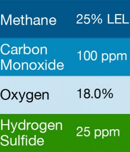 Bump Test Gas: Gasco 427 Multi-Gas Mix: 100 PPM Carbon Monoxide, 25% LEL Methane, 18.0% Oxygen, 25 PPM Hydrogen Sulfide, Balance Nitrogen