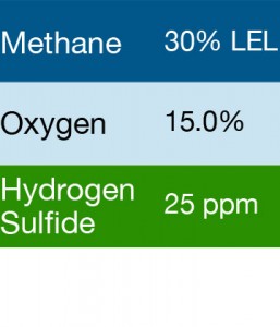 Bump Test Gas: Gasco 430 Multi-Gas Mix: 30% LEL Methane, 15.0% Oxygen, 25 PPM Hydrogen Sulfide, Balance Nitrogen