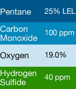 Bump Test Gas: Gasco 456 Multi-Gas Mix: 100 PPM Carbon Monoxide, 25% LEL Pentane, 19.0% Oxygen, 40 PPM Hydrogen Sulfide, Balance Nitrogen