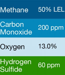 Bump Test Gas: Gasco 467 Multi-Gas Mix: 100 PPM Carbon Monoxide, 50% LEL Methane, 13.0% Oxygen, 60 PPM Hydrogen Sulfide, Balance Nitrogen