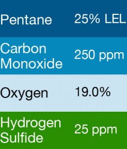 Bump Test Gas: Gasco 469 Multi-Gas Mix: 250 PPM Carbon Monoxide, 25% LEL Pentane, 19.0 Oxygen, 25 PPM Hydrogen Sulfide, Balance Nitrogen