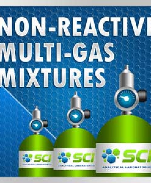 Non-Reactive Multi-Gas Mixtures