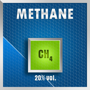 Gasco Bump Test 135N-20: Methane (CH4) 20% vol. Calibration Gas