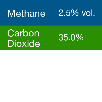 Bump Test Gas: Gasco 365 Multi-Gas Mix: 2.5% Volume Methane, 35.0% Carbon Dioxide, Balance Nitrogen