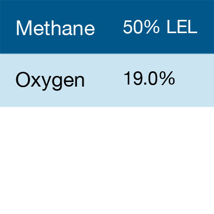 Gasco 366 Multi-Gas Mix: 50% LEL Methane, 19.0% Oxygen, Balance Nitrogen