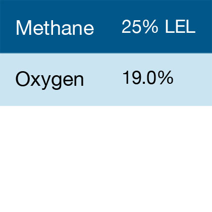 Gasco 384 Multi-Gas Mix: 25% LEL Methane, 19.0% Oxygen, Balance Nitrogen