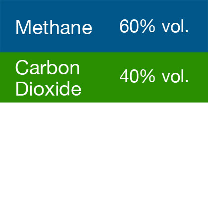 Gasco 399M Multi-Gas Mix: 60% Volume Methane, 40% Volume Carbon Dioxide